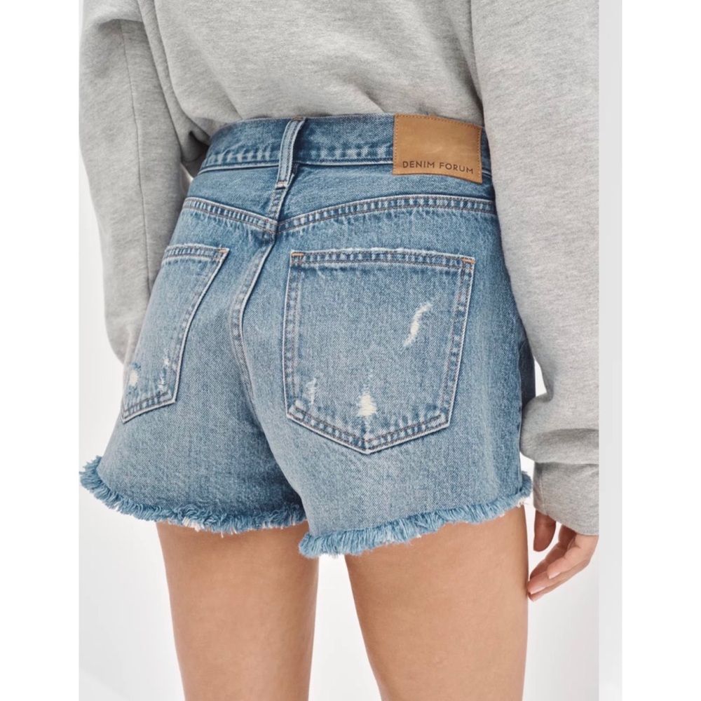 Aritzia Denim Ex-Boyfriend Shorts - Picture 4 of 14